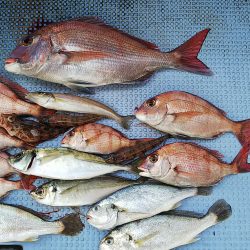 第二常豊丸 釣果