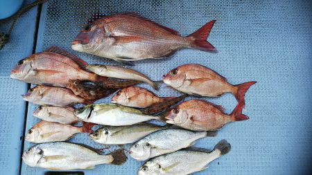 第二常豊丸 釣果