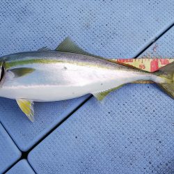 第二常豊丸 釣果