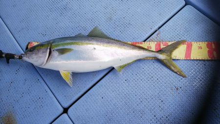 第二常豊丸 釣果