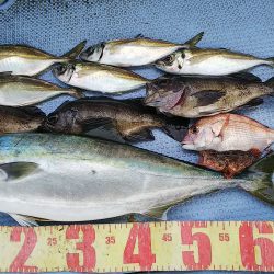 第二常豊丸 釣果