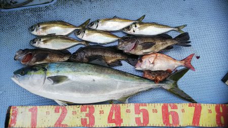 第二常豊丸 釣果