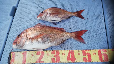 第二常豊丸 釣果