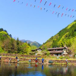 小菅トラウトガーデン 釣果