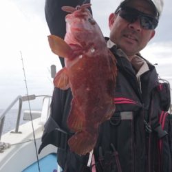 海晴丸 釣果