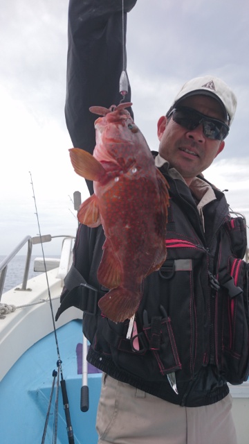 海晴丸 釣果