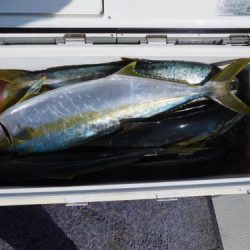 第二一之紀丸（ダイニイチノキマル） 釣果