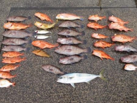 第二一之紀丸（ダイニイチノキマル） 釣果