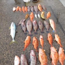 第二一之紀丸（ダイニイチノキマル） 釣果