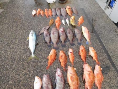 第二一之紀丸（ダイニイチノキマル） 釣果