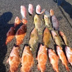 第二一之紀丸（ダイニイチノキマル） 釣果