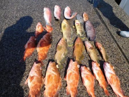 第二一之紀丸（ダイニイチノキマル） 釣果