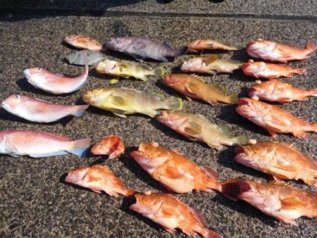 第二一之紀丸（ダイニイチノキマル） 釣果