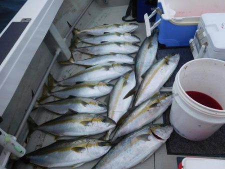 第二一之紀丸（ダイニイチノキマル） 釣果