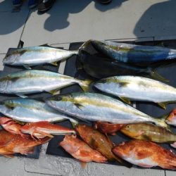 第二一之紀丸（ダイニイチノキマル） 釣果