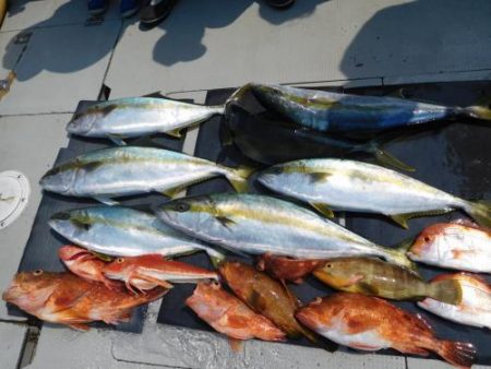 第二一之紀丸（ダイニイチノキマル） 釣果