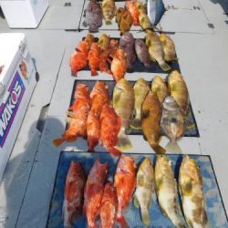 第二一之紀丸（ダイニイチノキマル） 釣果