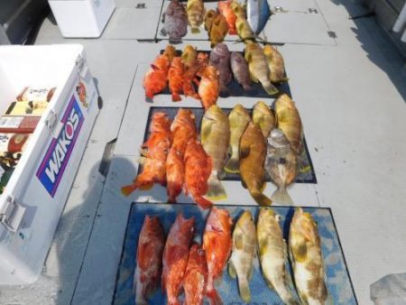 第二一之紀丸（ダイニイチノキマル） 釣果