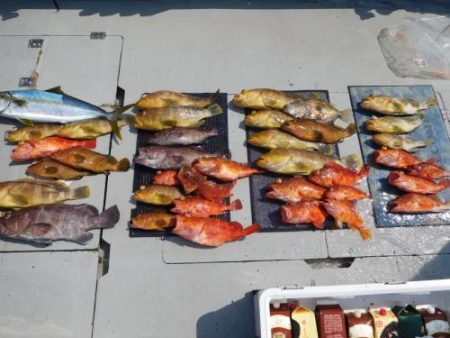 第二一之紀丸（ダイニイチノキマル） 釣果