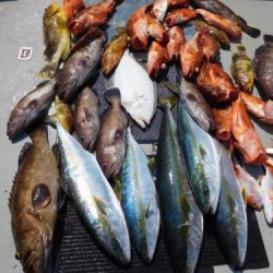 第二一之紀丸(ダイニイチノキマル) 釣果