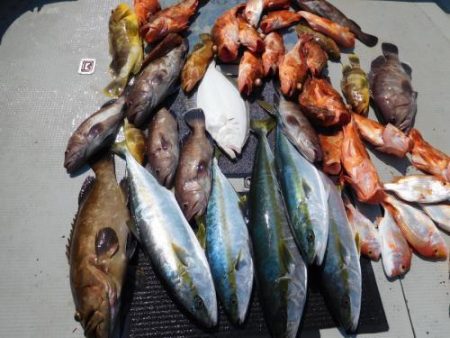 第二一之紀丸(ダイニイチノキマル) 釣果