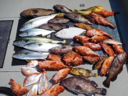 第二一之紀丸（ダイニイチノキマル） 釣果