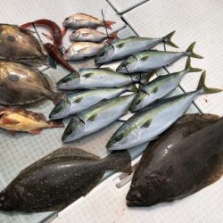 ふじしめ丸 釣果