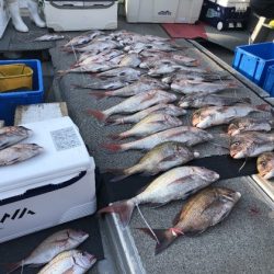 幸風（さちかぜ） 釣果