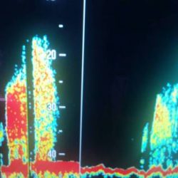 第五慶門丸 釣果