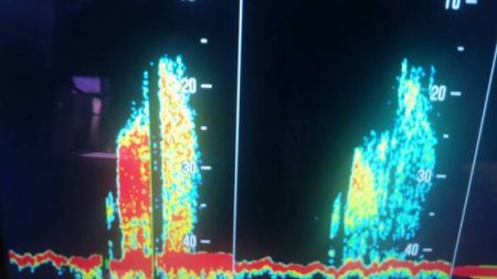 第五慶門丸 釣果