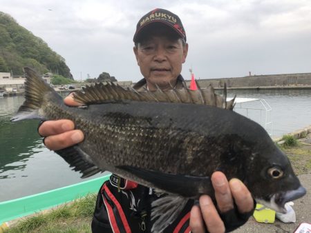 由良渡船 釣果