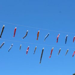 小菅トラウトガーデン 釣果