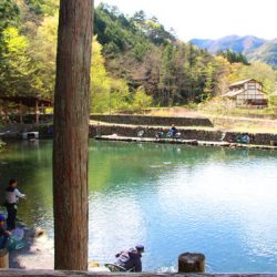 小菅トラウトガーデン 釣果