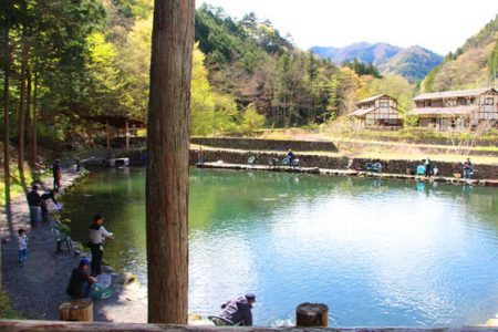 小菅トラウトガーデン 釣果