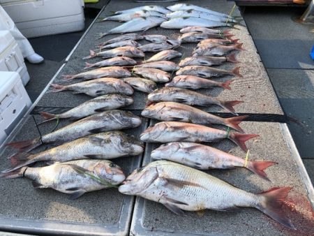 幸風（さちかぜ） 釣果