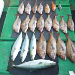 真祐丸 （しんゆうまる） 釣果