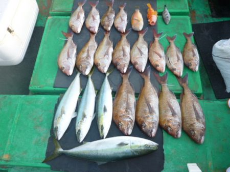 真祐丸 （しんゆうまる） 釣果