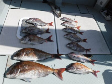 遊漁船 幸友丸 釣果