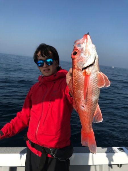 へいみつ丸 釣果