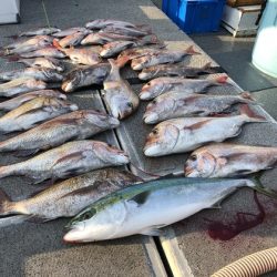 幸風（さちかぜ） 釣果