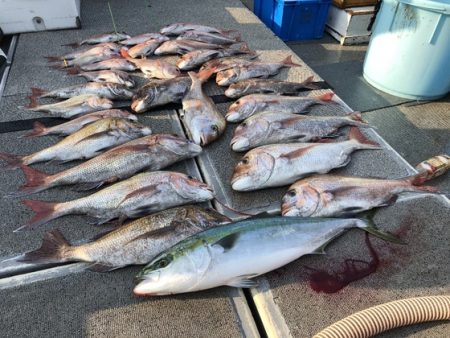 幸風（さちかぜ） 釣果