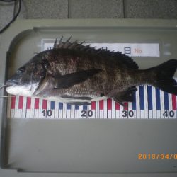 姫路市立遊魚センター 釣果