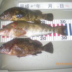 姫路市立遊魚センター 釣果