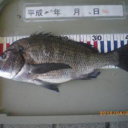 姫路市立遊魚センター 釣果