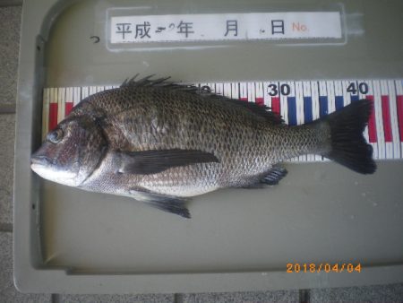 姫路市立遊魚センター 釣果