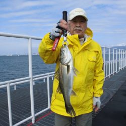 尼崎市立魚つり公園 釣果