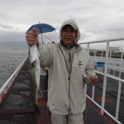 尼崎市立魚つり公園 釣果