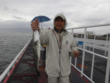 尼崎市立魚つり公園 釣果