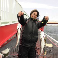 尼崎市立魚つり公園 釣果