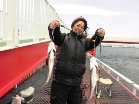 尼崎市立魚つり公園 釣果